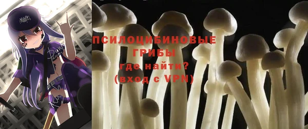 прущие крисы Медногорск