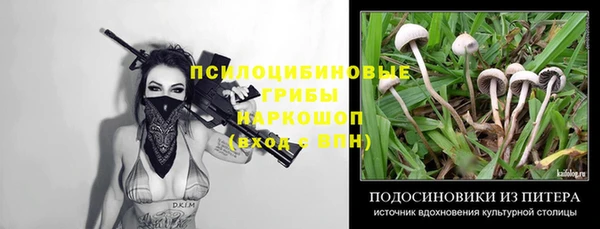 первитин Медвежьегорск