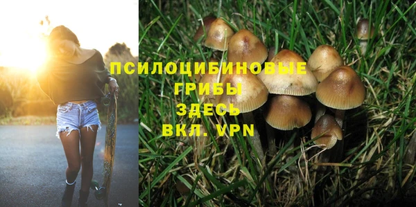 прущие крисы Медногорск