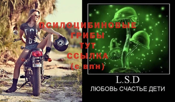 первитин Медвежьегорск