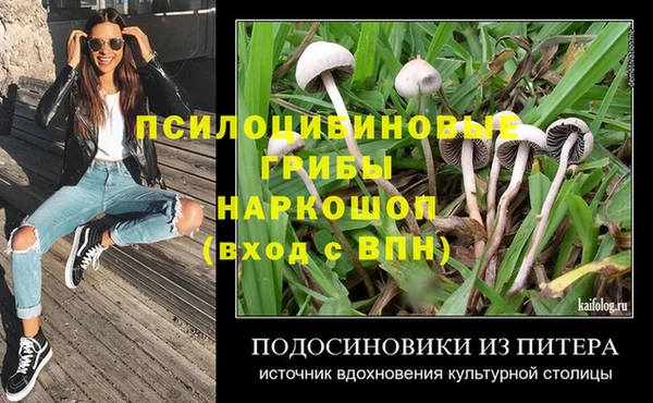 первитин Медвежьегорск